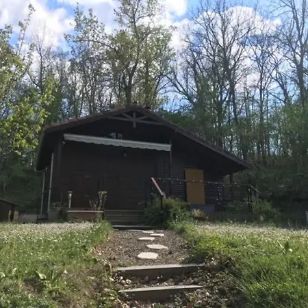 Chalet Au Milieu De La Foret Avec Lac A Proximite Layrac Buitenkant foto