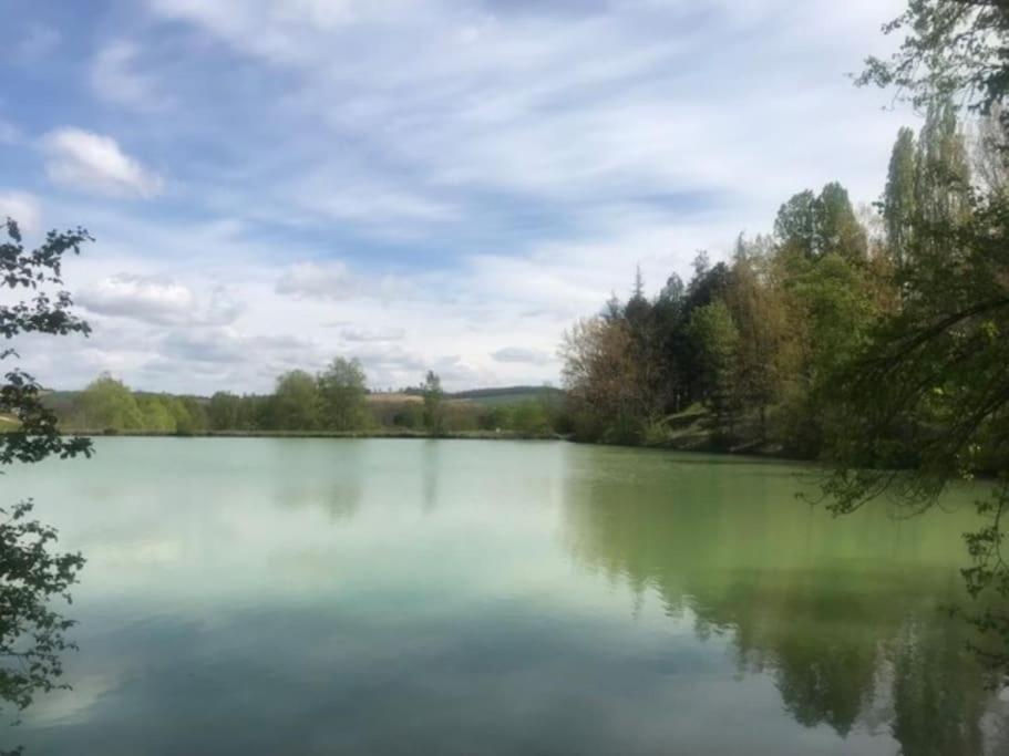 Villa Au Milieu De La Foret Avec A Proximite *
